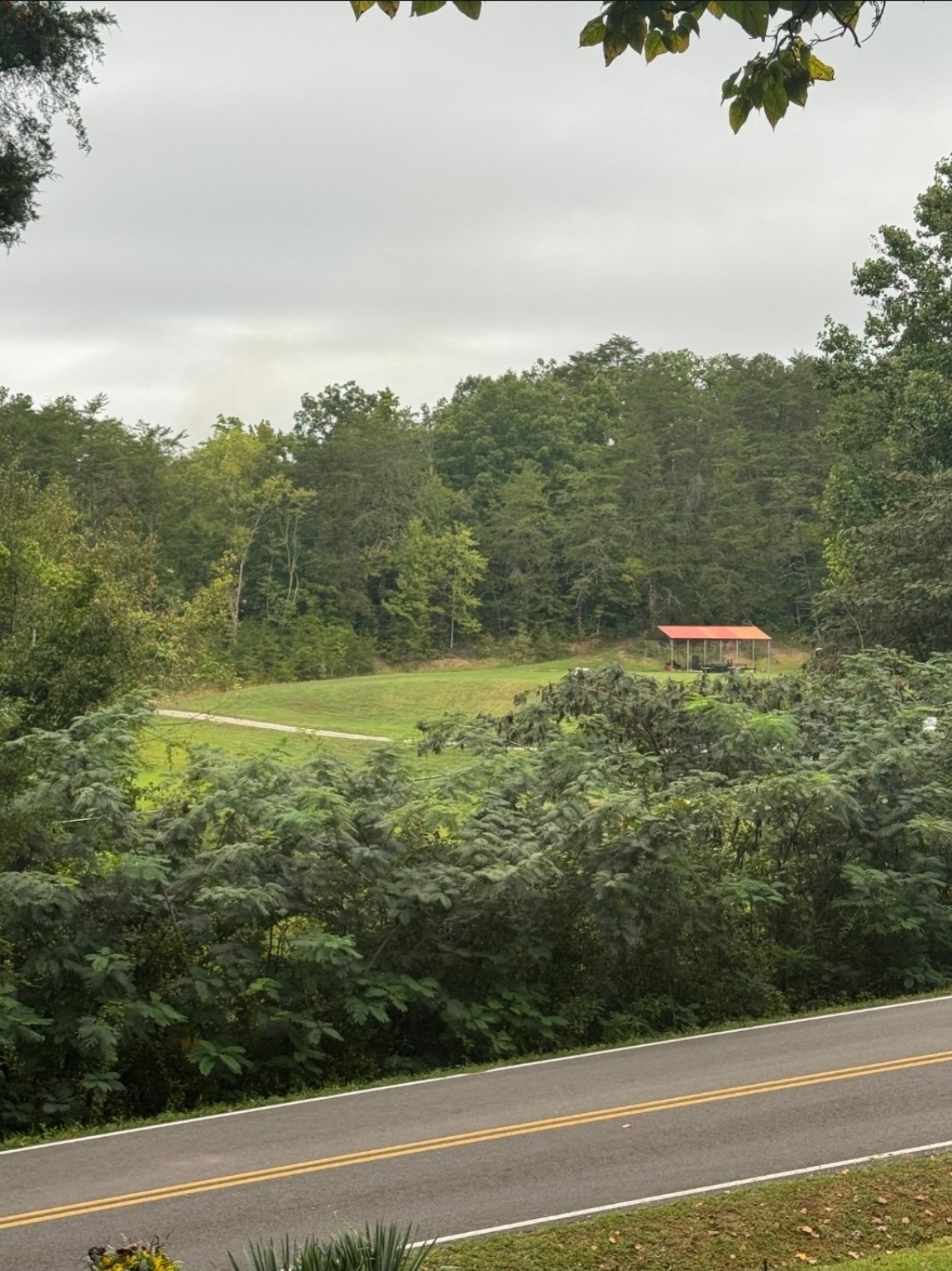 View across a road toward a clearing, trees, and a small red-roofed structure